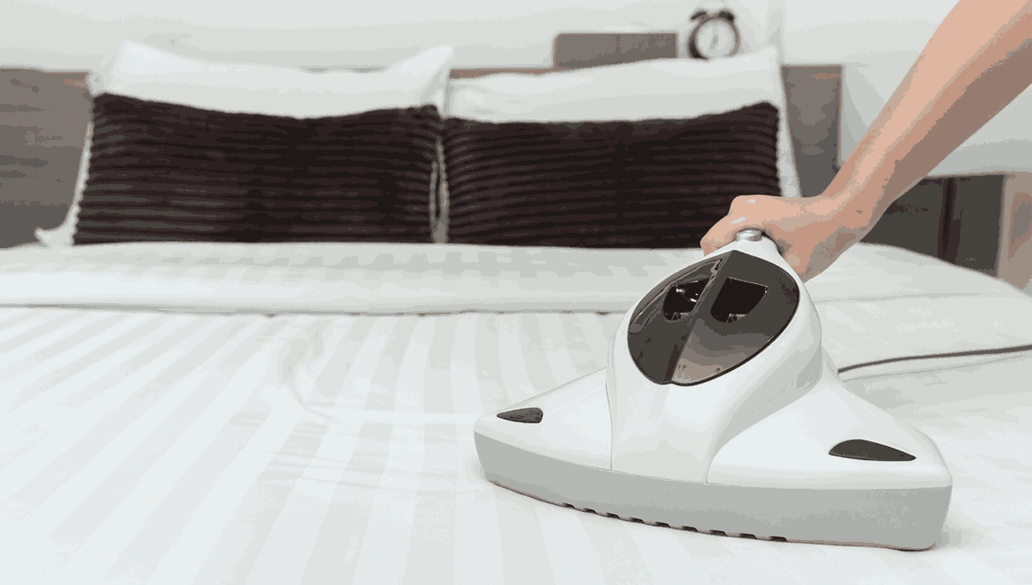 Professional Mattress Cleaning Smythes Creek